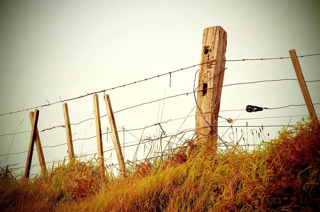 Wood-post and wire farm fence running along open Front Range grassland