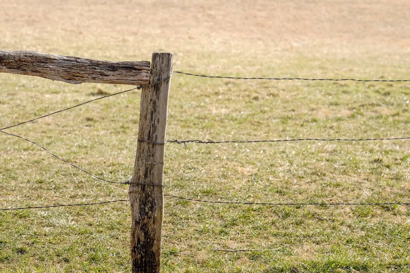 Farm and ranch fence line running across open Colorado acreage