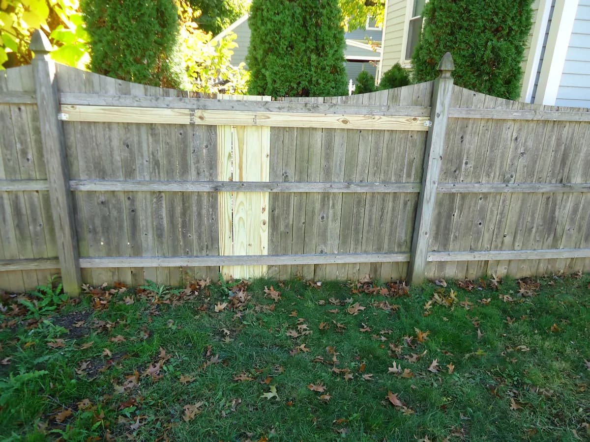 Cedar wood privacy fence with straight, plumb posts along a residential lot line